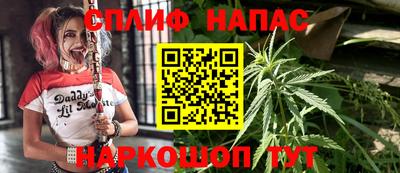 apvp Нальчик