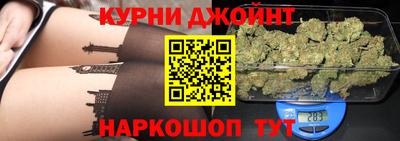 гидра Новодвинск